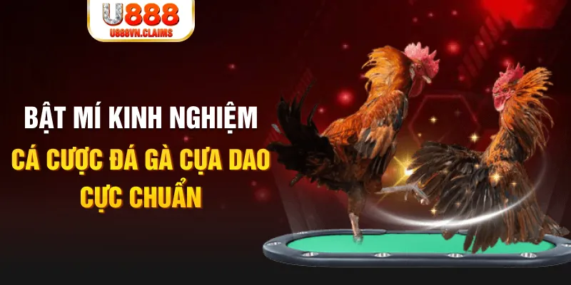 xstd 90 trong baccarat, ai là người chia bài chính？
