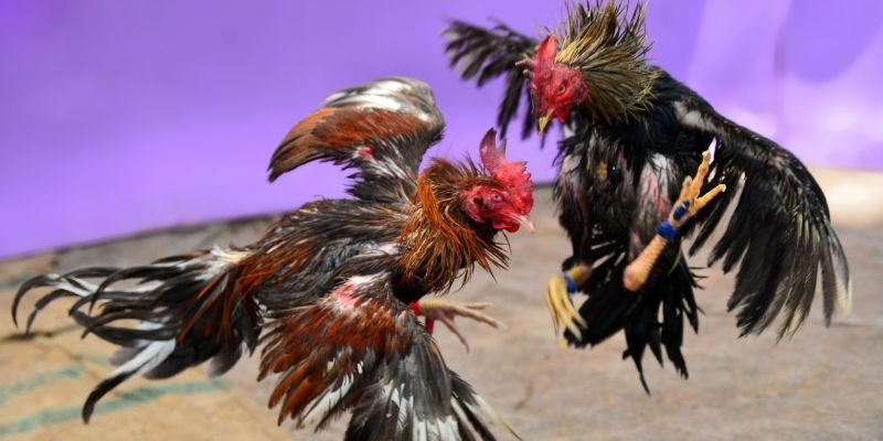 xstd 90 nổ hũ tiếng anh là gì