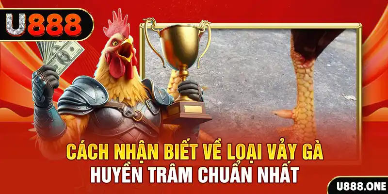 xstd 90 Chú hề Patty tuổi teen