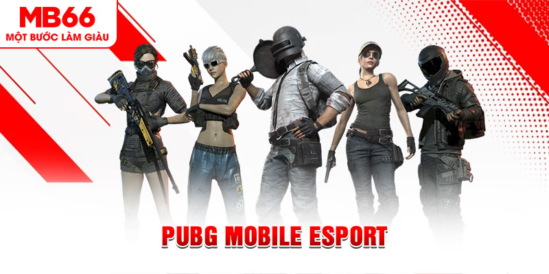 xstd 90 gà chọi c1 mới nhất