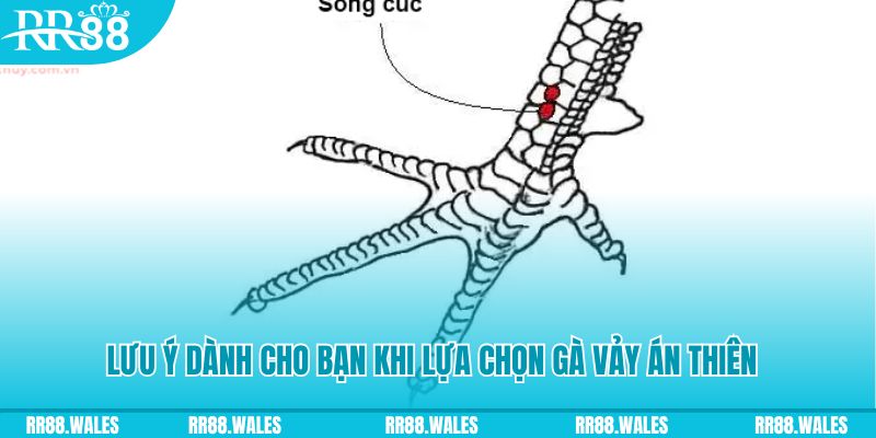 xstd 90 how to play roulette at casino