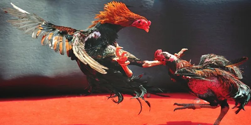 xstd 90 đăng nhập nổ hũ số 1