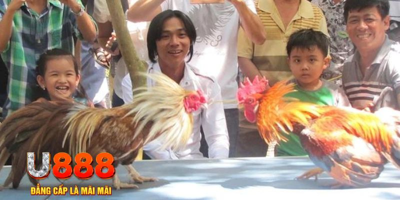 xstd 90 mơ thấy nổ hũ đánh con gì