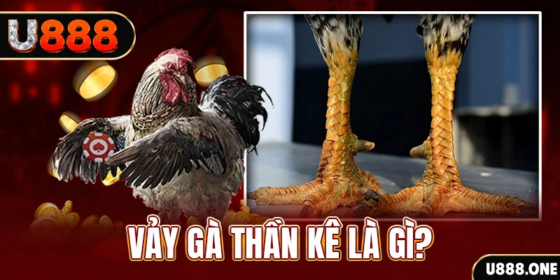 xstd 90 xổ số miền bắc thứ tư hàng tuần