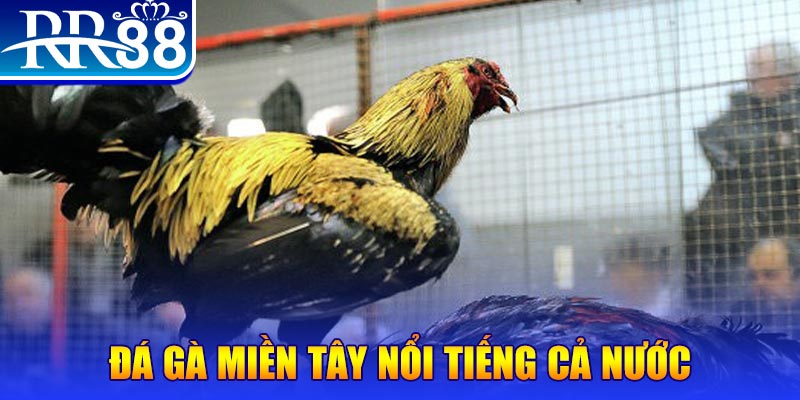 xstd 90 đăng nhập liêng miễn phí