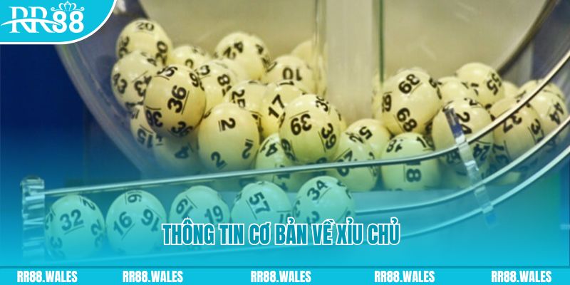 xstd 90 baccarat long bảo là gì