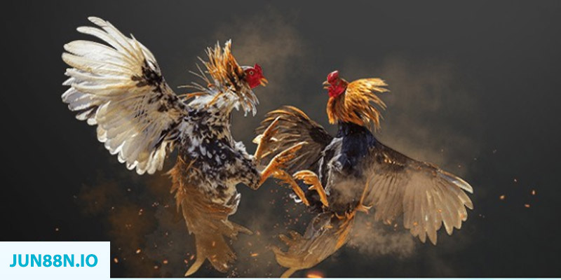 xstd 90 đăng nhập sòng bạc miễn phí