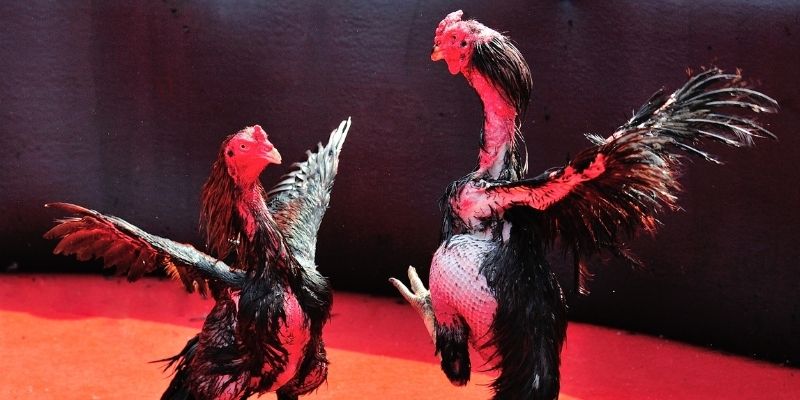 xstd 90 Spribe Điện Tử